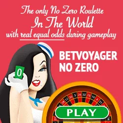 Betvoyager Casino Download